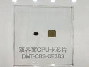 大唐微電子與晶科微電子 創新科技亮相2017第九屆深圳國際物聯網博覽會